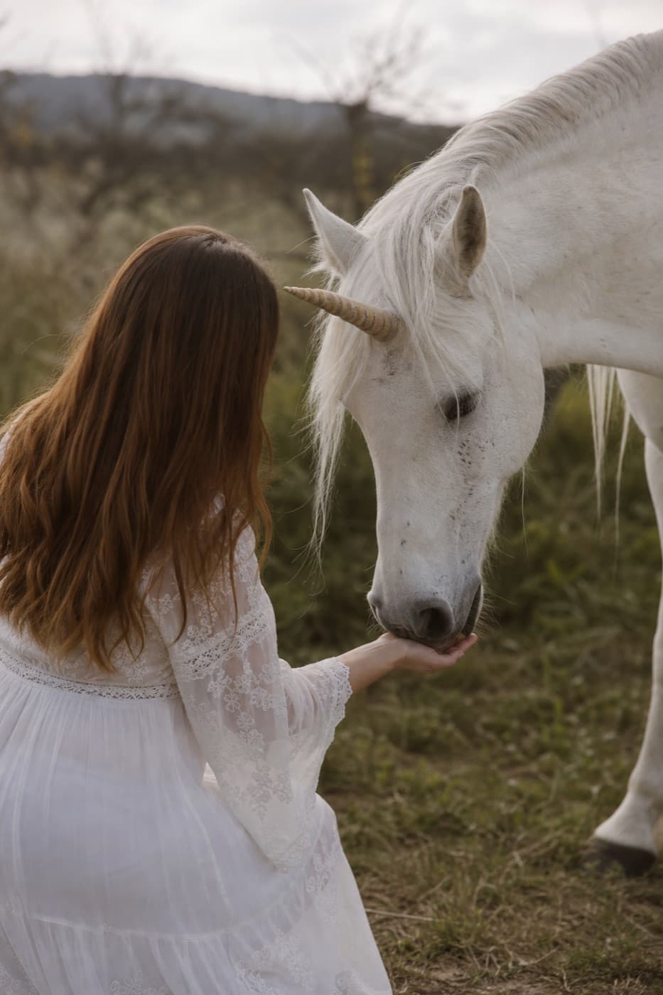 Vrouw die rustig een unicorn voedt in een veld, terug bij jezelf