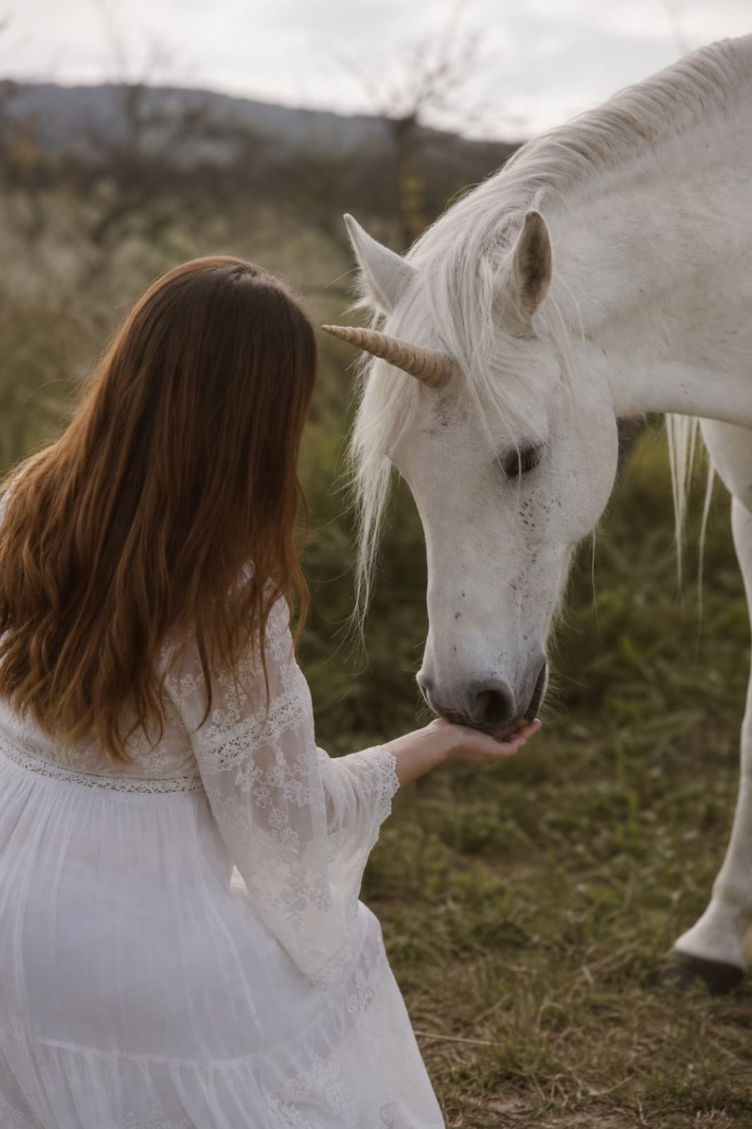 De Bijna-Unicorn, Your Unicorn Way